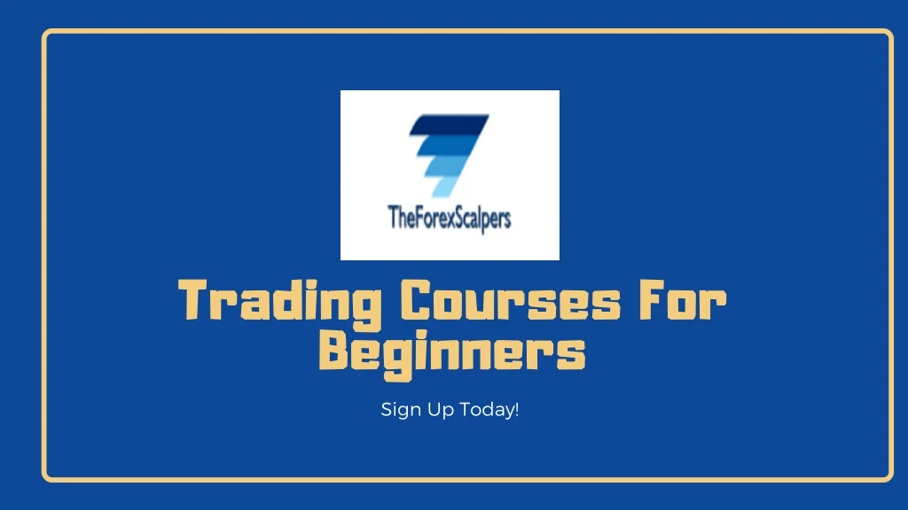 trading courses for beginners