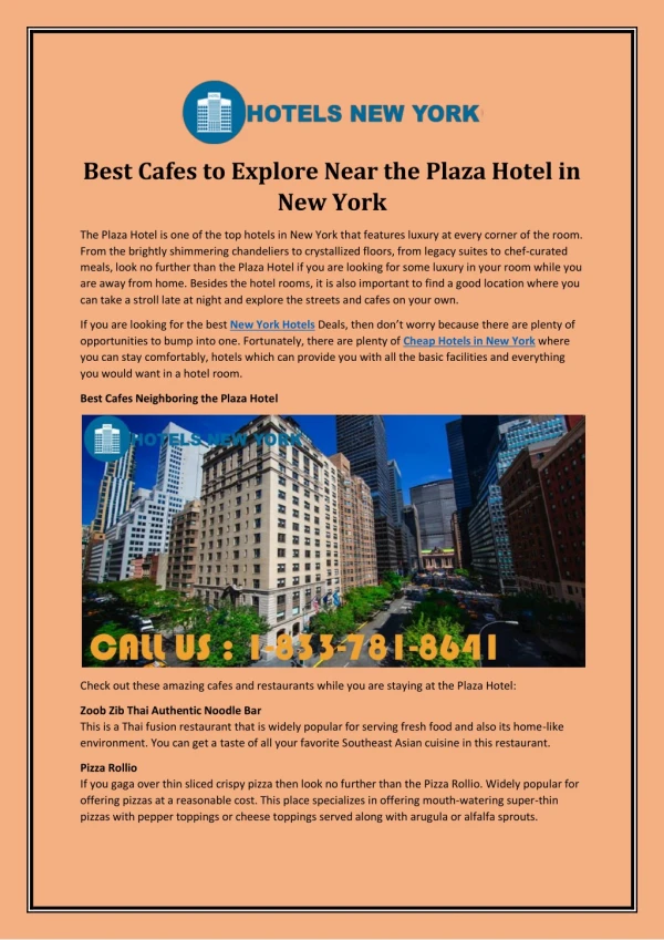 Best Cafes to Explore Near the Plaza Hotel in New York