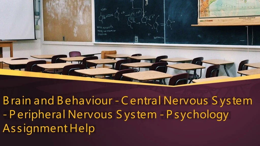 brain and behaviour central nervous system peripheral nervous system psychology assignment help