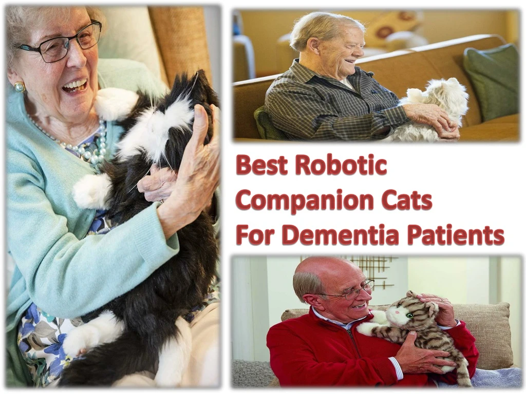 best robotic companion cats for dementia patients