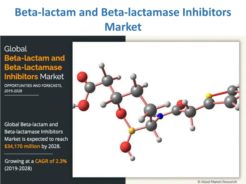 beta lactam and beta lactamase inhibitors market