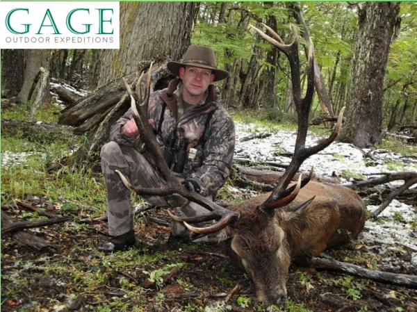 Gage Outdoor Expeditions: World's best Hunting Camp & Fishing Outfitter