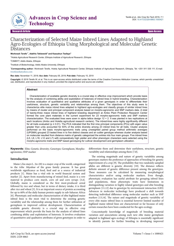 Characterization of Selected Maize Inbred Lines Adapted to Highland Agro-Ecologies of Ethiopia Using Morphological and M