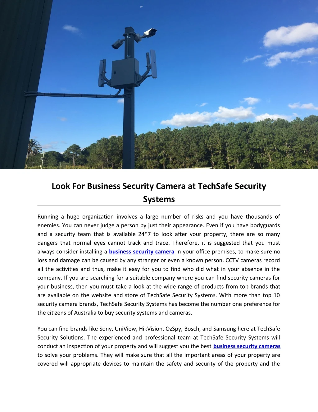 look for business security camera at techsafe