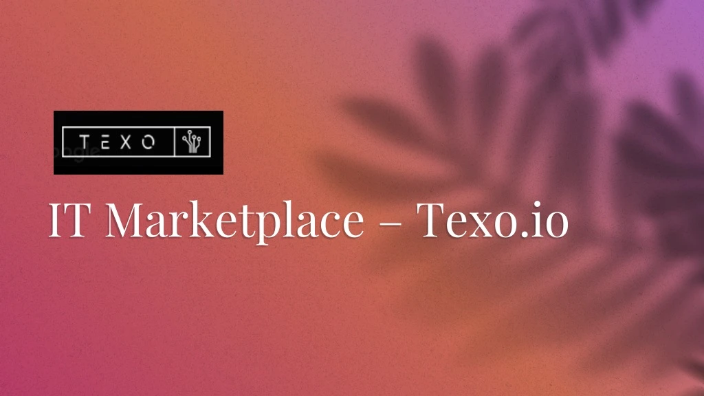 it marketplace texo io