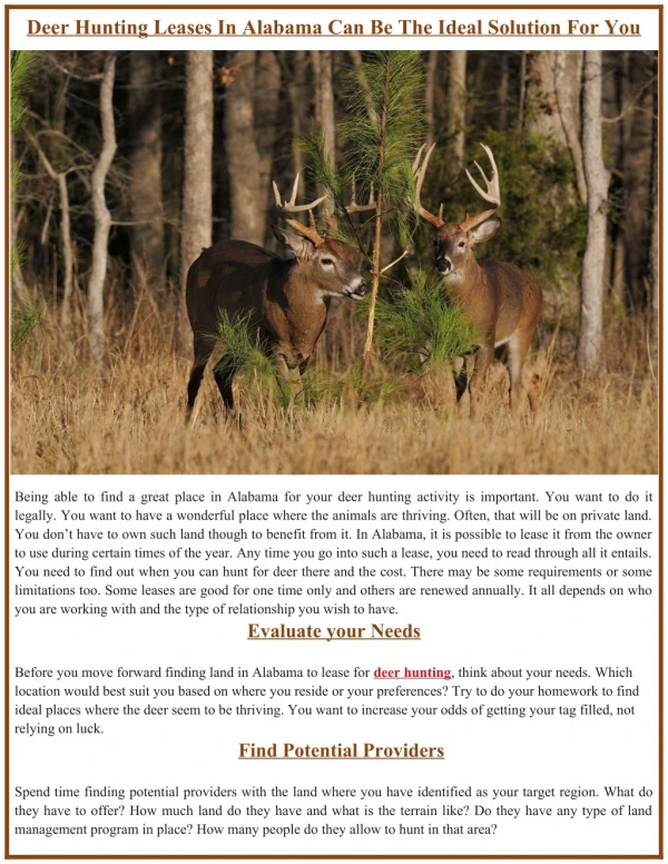 deer hunting leases in alabama can be the ideal