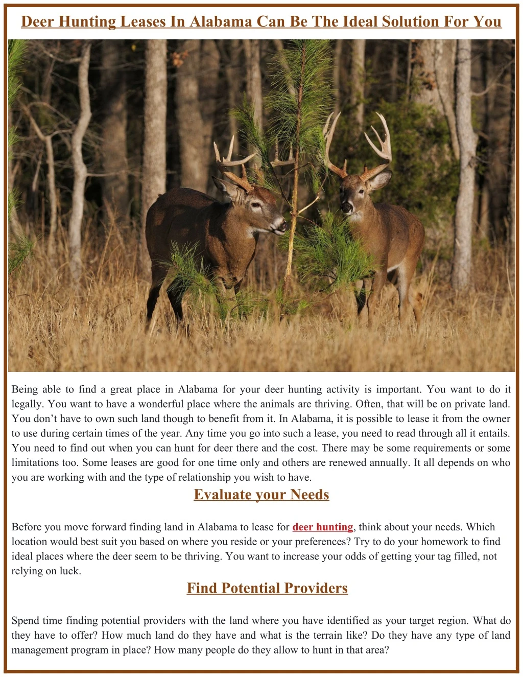 deer hunting leases in alabama can be the ideal