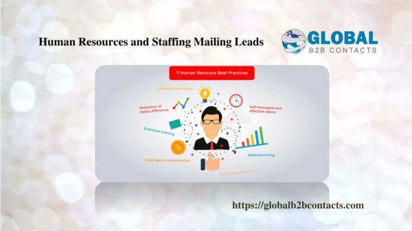 Human Resources and Staffing Mailing Leads