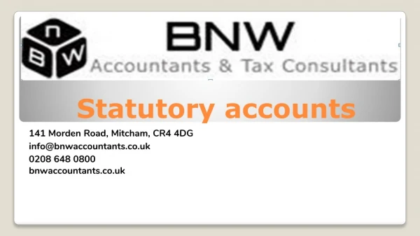 Statutory Accounts