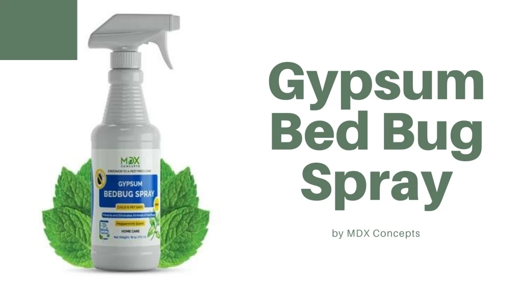 gypsum bed bug spray