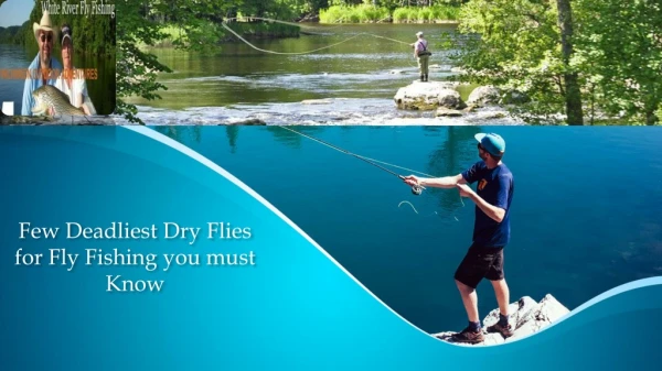 Few Deadliest Dry Flies for Fly Fishing you must Know