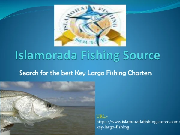 Search for the best Key Largo Fishing Charters