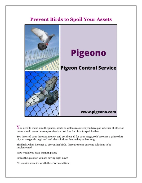 prevent birds to spoil your assets
