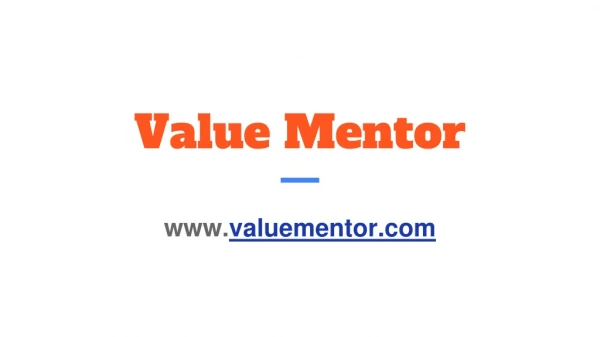 Profile of ValueMentor