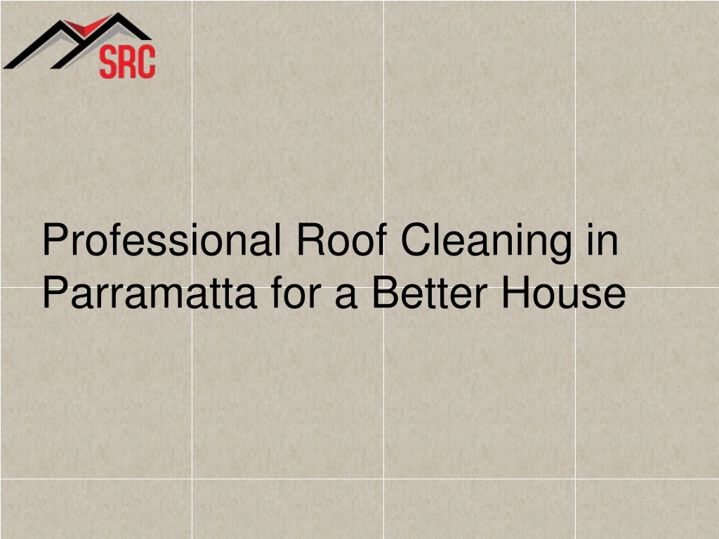professional roof cleaning in parramatta