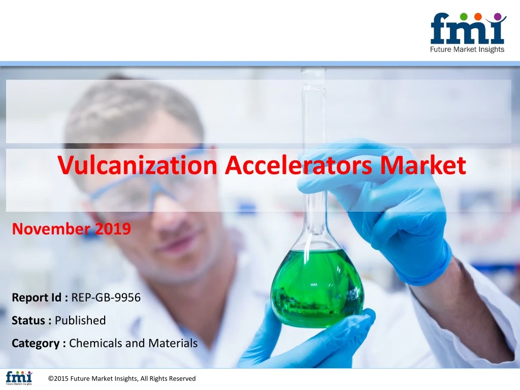 vulcanization accelerators market