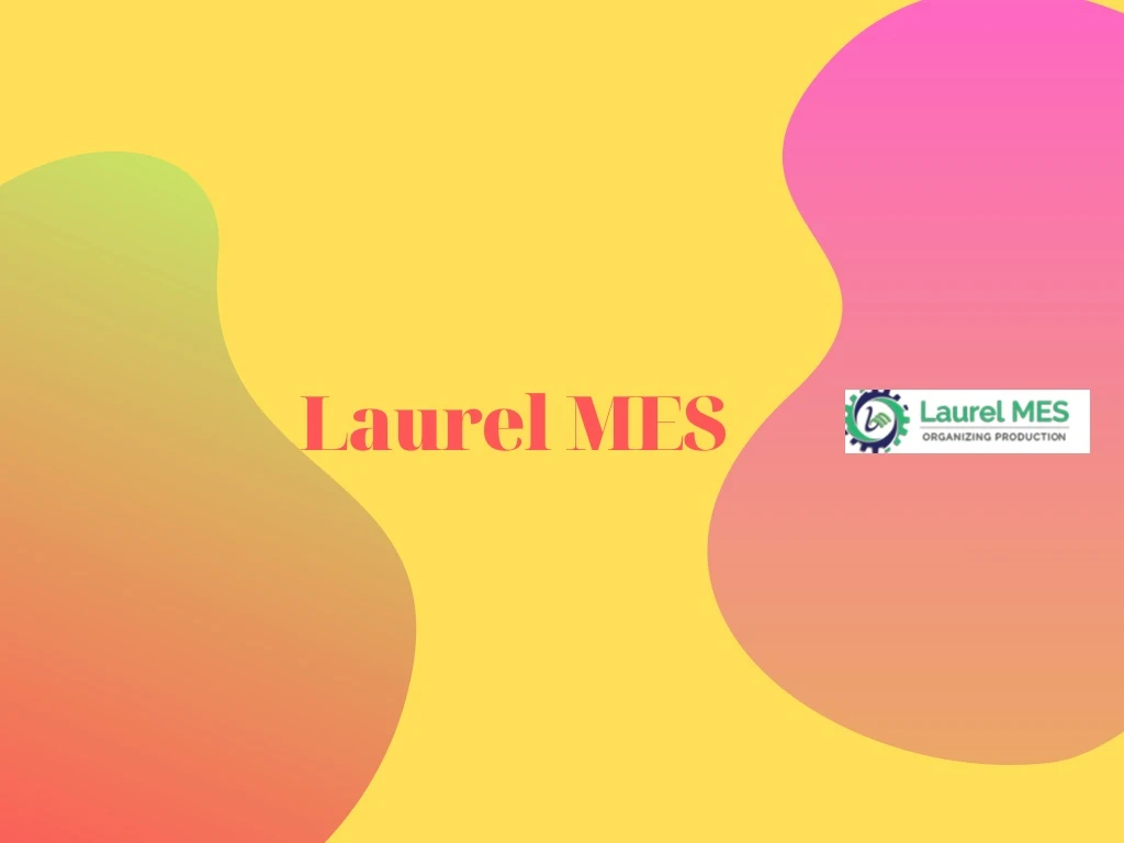 laurel mes