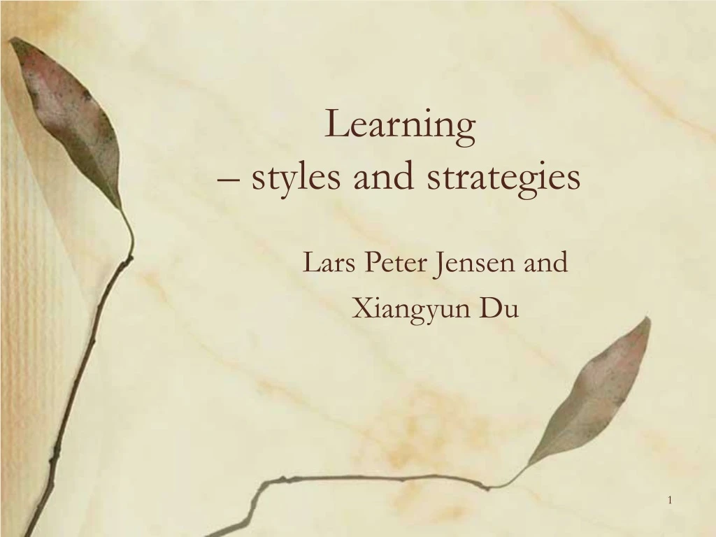 learning styles and strategies