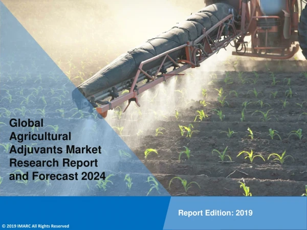 global agricultural adjuvants market research