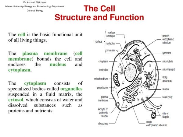 The cell is the basic functional unit of all living things.