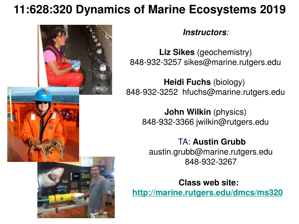 11 628 320 dynamics of marine ecosystems 2019