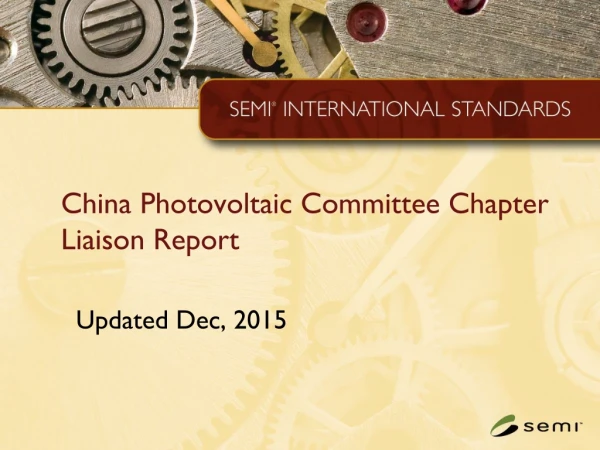 China Photovoltaic Committee Chapter Liaison Report