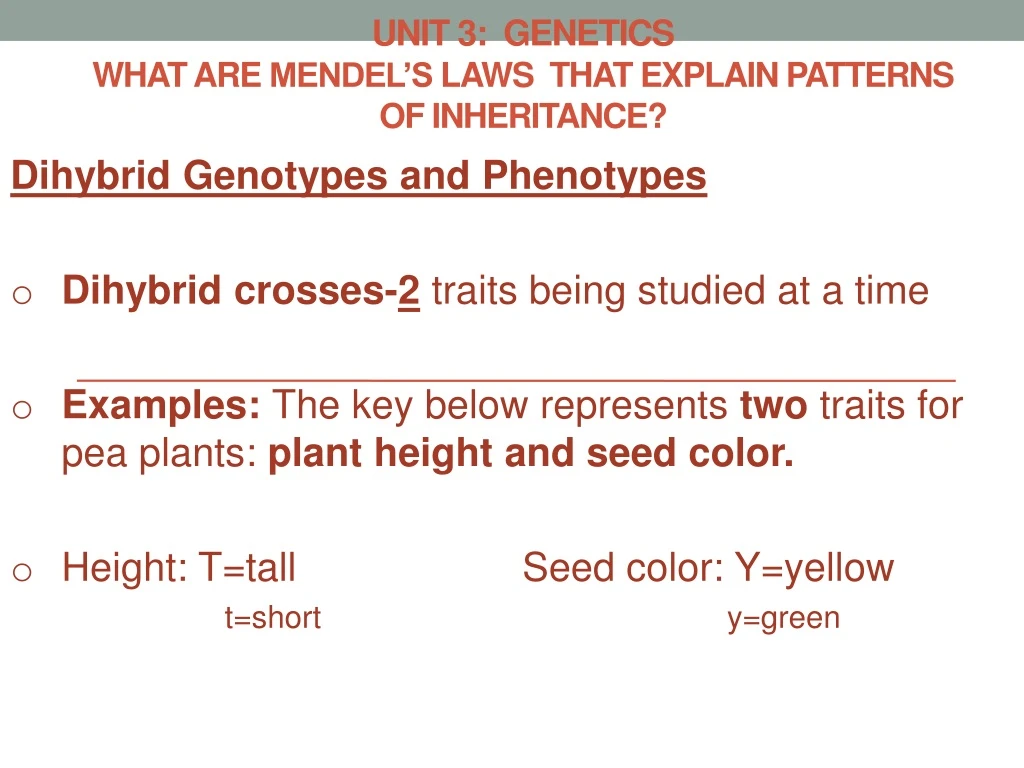 unit 3 genetics what are mendel s laws that explain patterns of inheritance