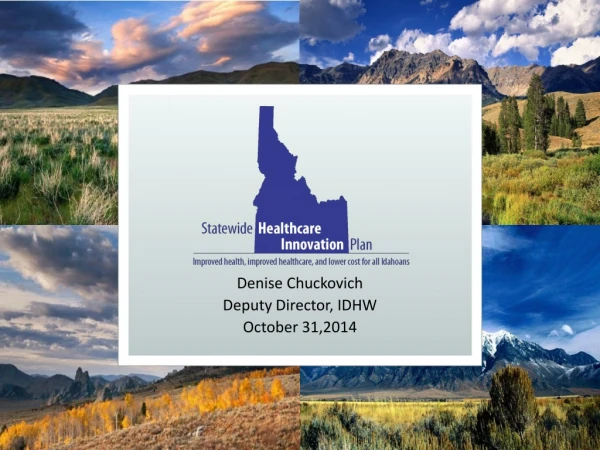 denise chuckovich deputy director idhw october 31 2014