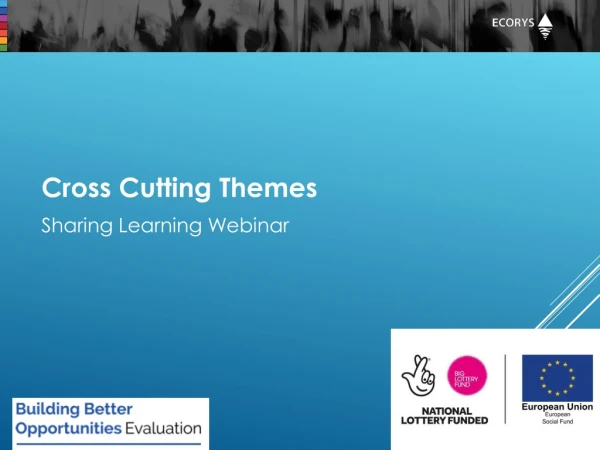 Cross Cutting Themes Sharing Learning Webinar