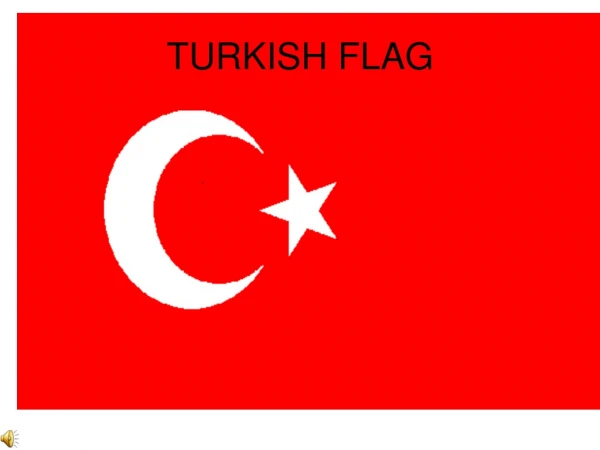 TURKISH FLAG