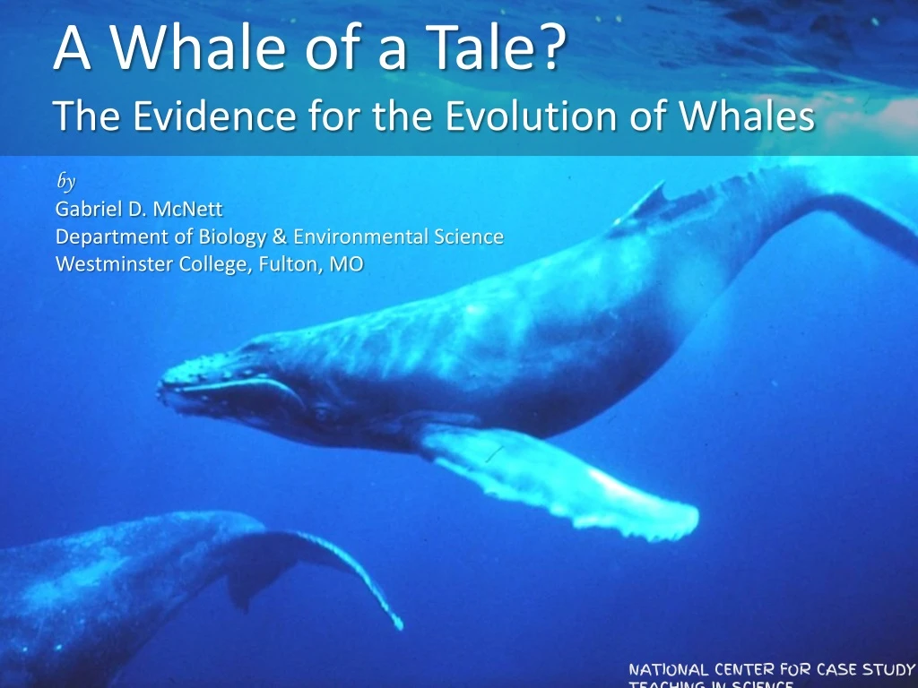 a whale of a tale the evidence for the evolution