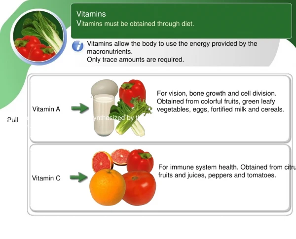 Vitamins V itamins must be obtained through diet.