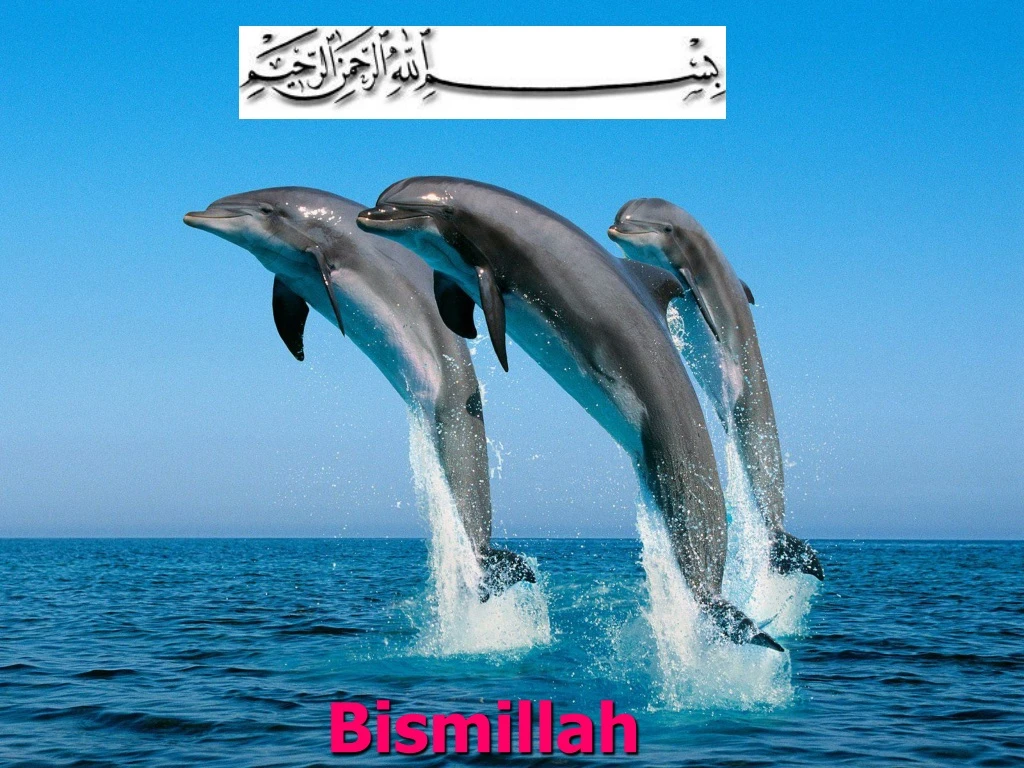 bismillah