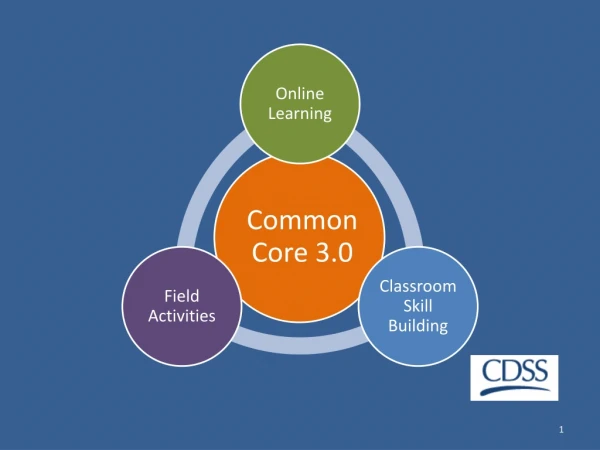 Common Core 3.0