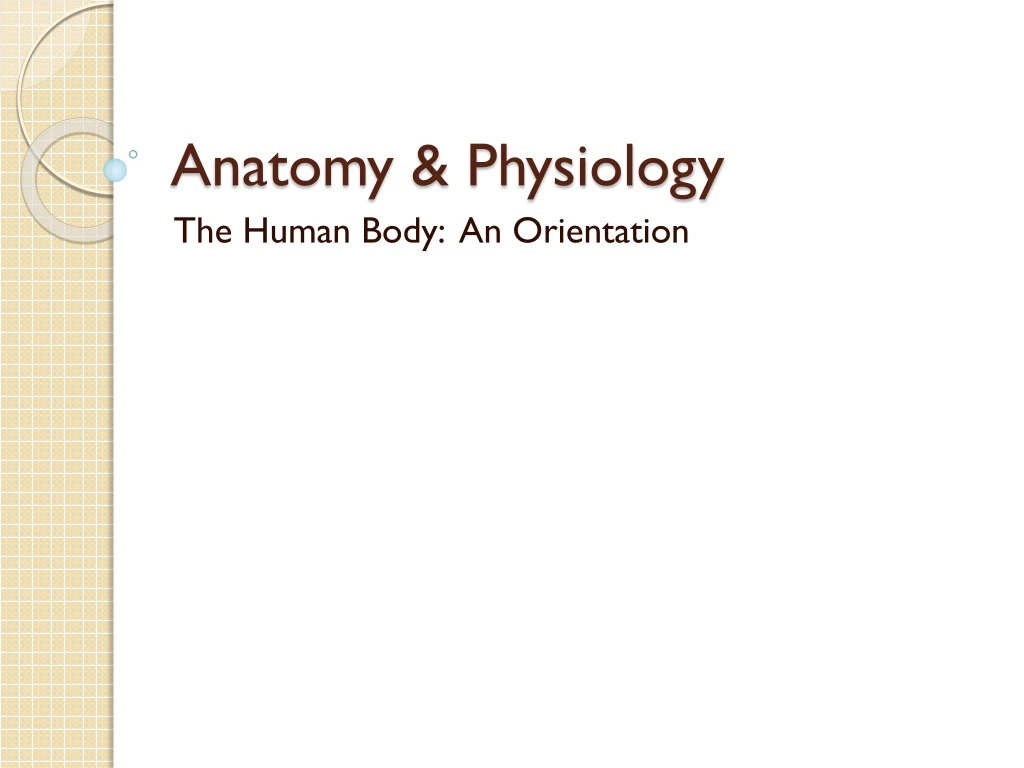 anatomy physiology