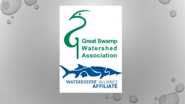 GSWA’s Watershed Friendly Living Program can offer more information