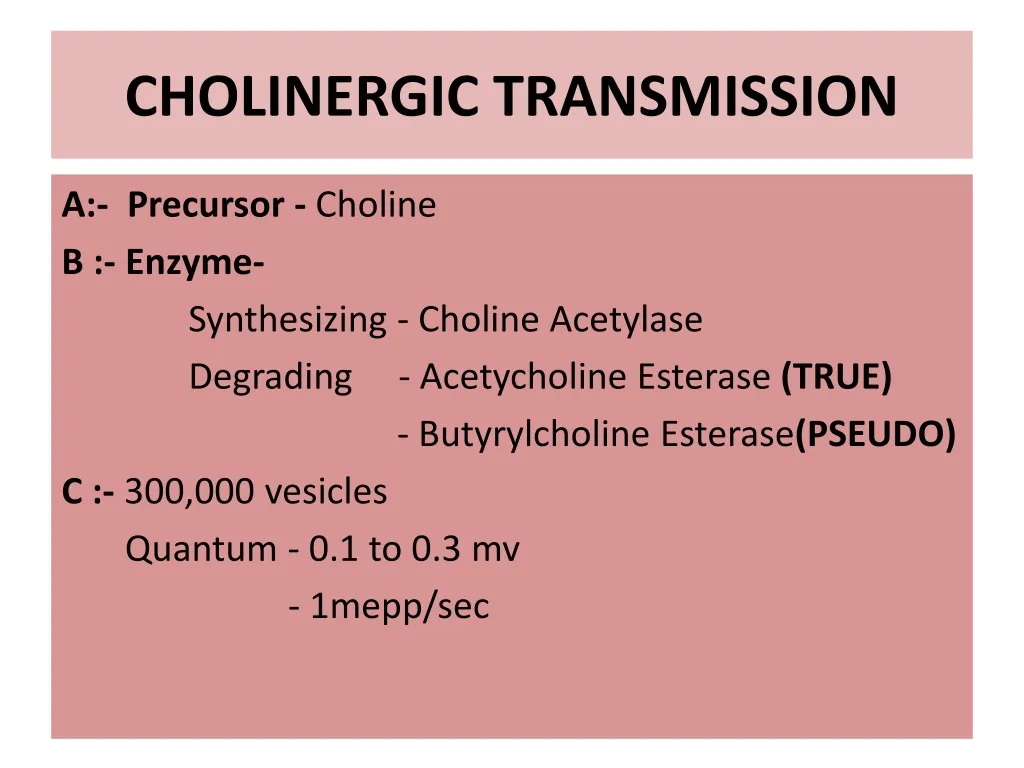 cholinergic transmission