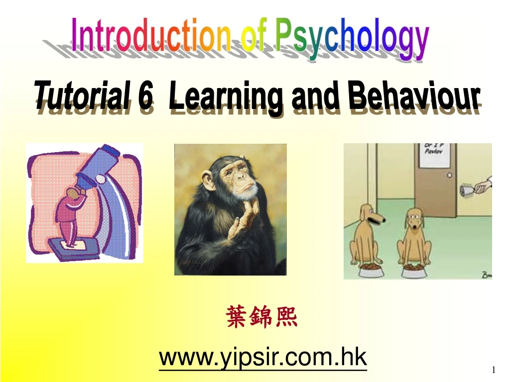 introduction of psychology