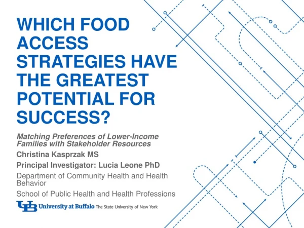 Which Food access strategies have the greatest potential for success?