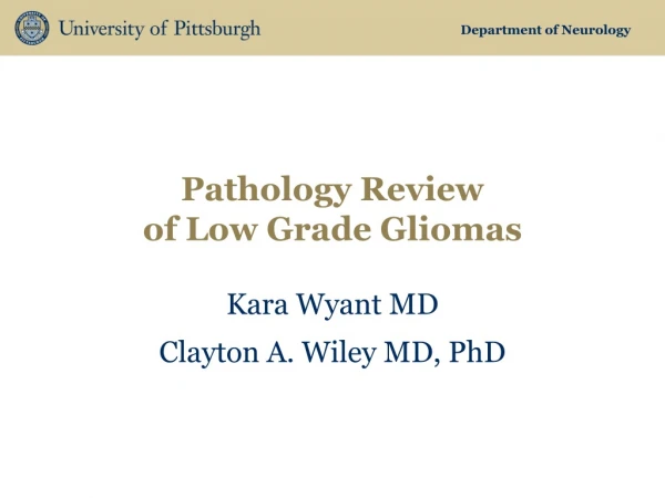 Pathology Review of Low Grade Gliomas