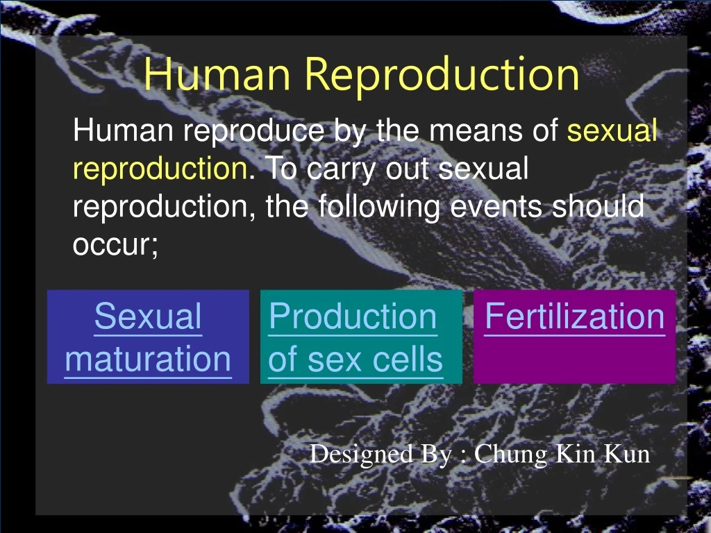 sexual maturation