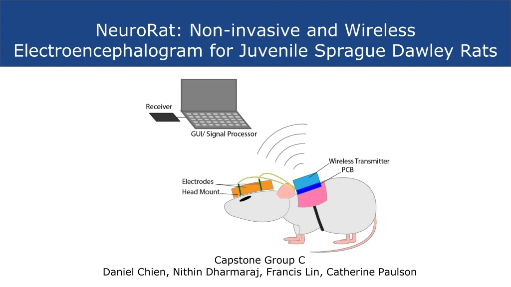 neurorat non invasive and wireless electroencephalogram for juvenile sprague dawley rats