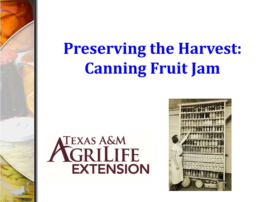 preserving the harvest canning fruit jam