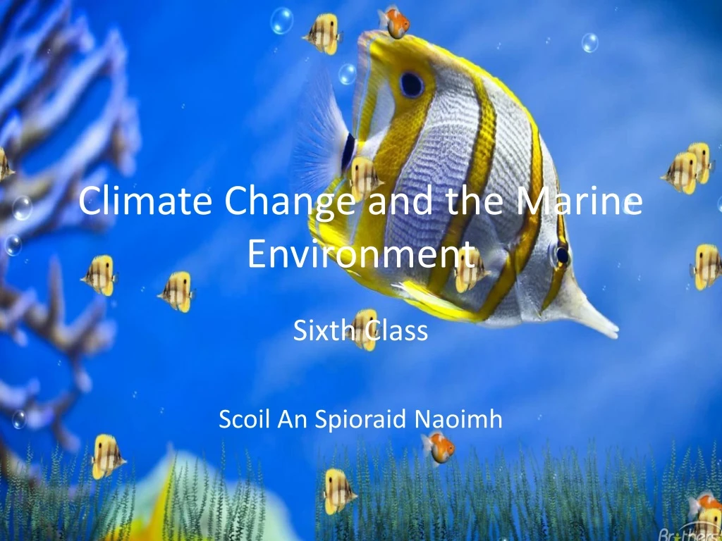 climate change and the marine environment