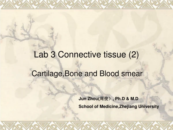 Lab 3 Connective tissue (2)