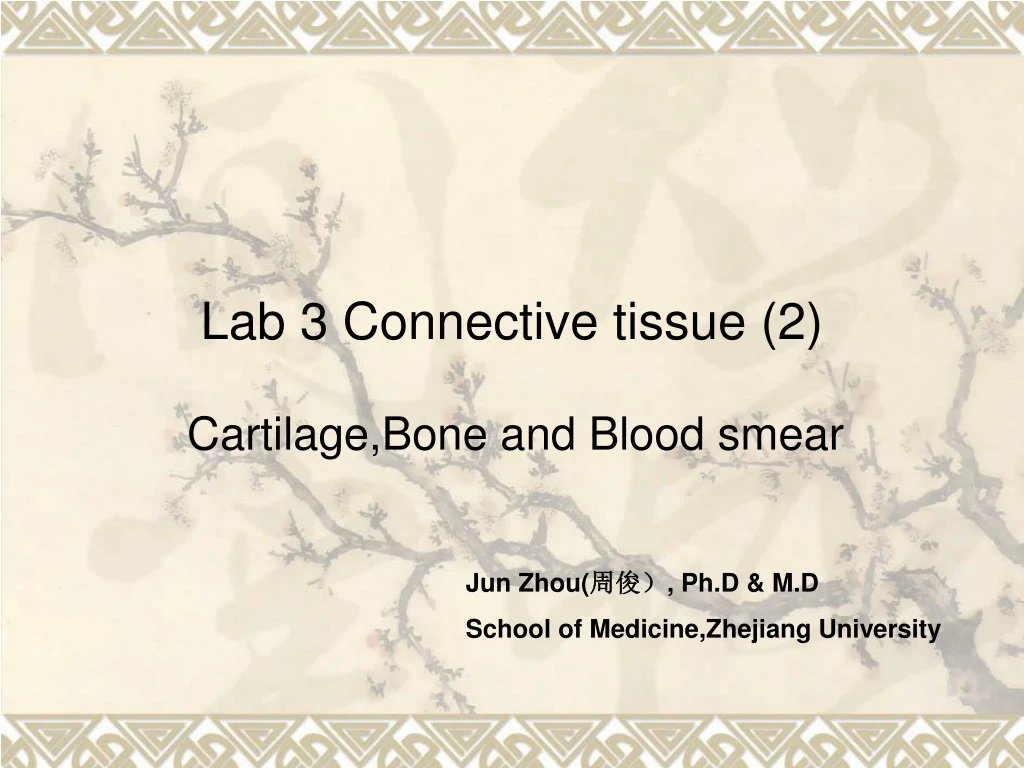 lab 3 connective tissue 2