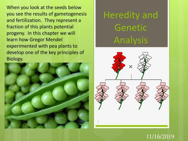 Heredity and Genetic Analysis