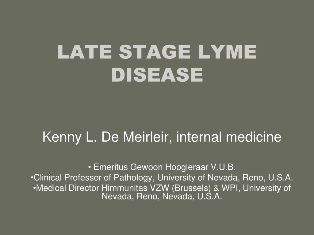 late stage lyme disease