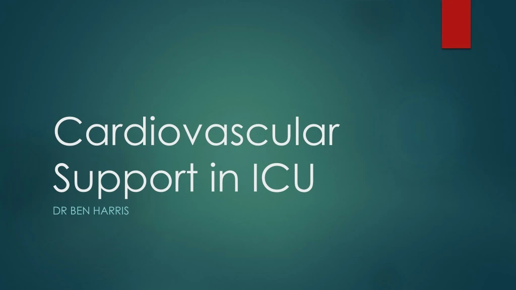cardiovascular support in icu
