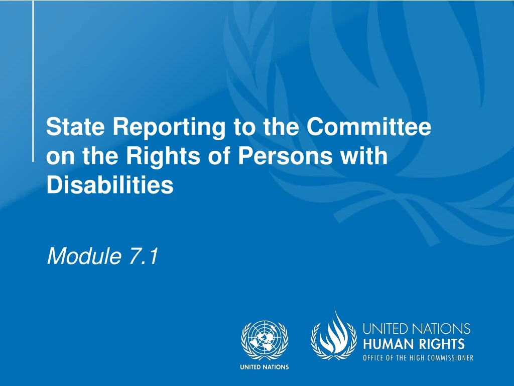 state reporting to the committee on the rights of persons with disabilities